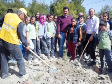   Artık “Dikili Bir Ağacım Var” 