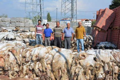 THK, 8 Bin 100 Adet Küçükbaş,  130 Büyükbaş Deri Topladı