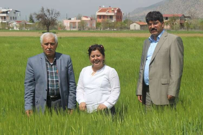 “Bu yıl yüksek verim bekliyoruz”