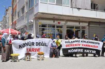 “KÖMÜR İSTEMİYORUZ”